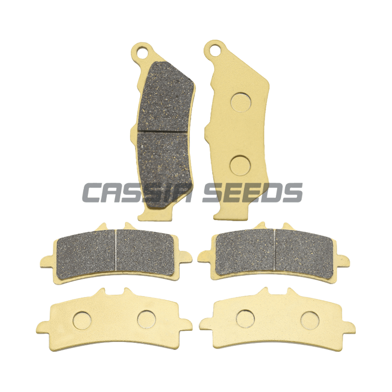 Carbon Ceramic Motorcycle Brake Rotor - MOTORFIETS REMBLOKKEN VOOR EN ACHTER Voor